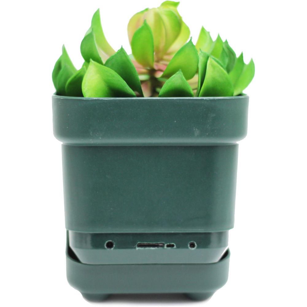 Mini Gadgets OmniEye Artificial Plant with Covert Camera