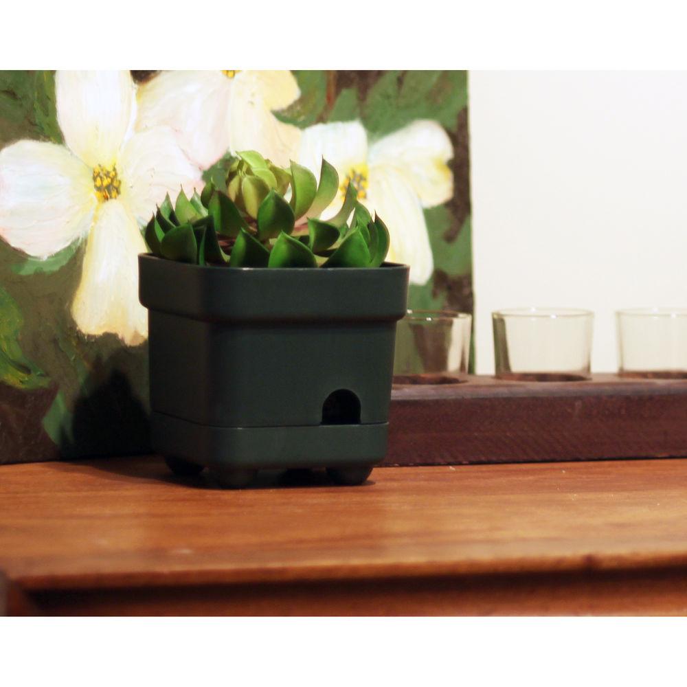 Mini Gadgets OmniEye Artificial Plant with Covert Camera