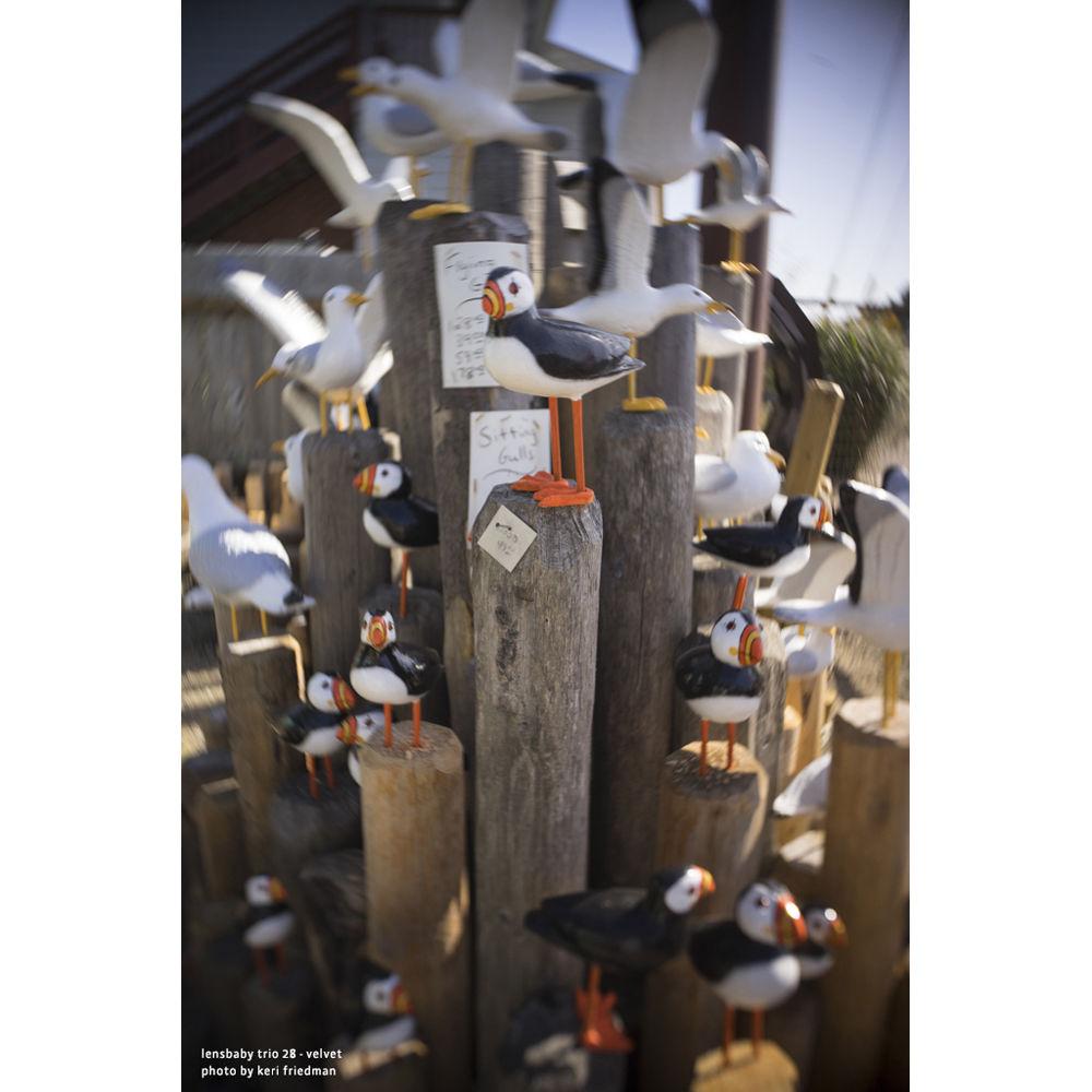 Lensbaby Trio 28mm f 3.5 Lens for Sony E