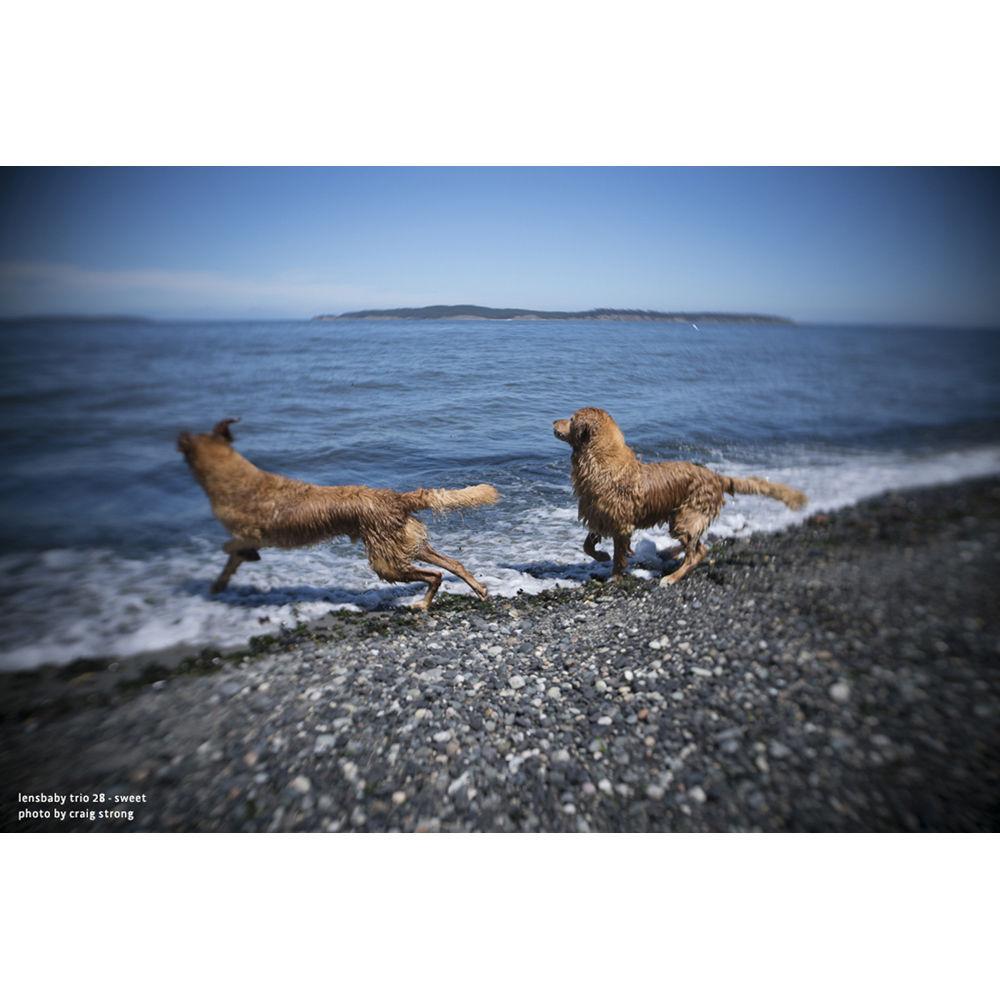 Lensbaby Trio 28mm f 3.5 Lens for Sony E