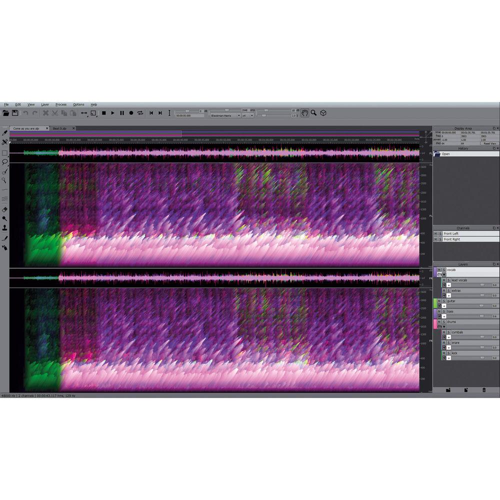 MAGIX Entertainment SpectraLayers Pro 4 - Advanced Audio Spectrum Editor