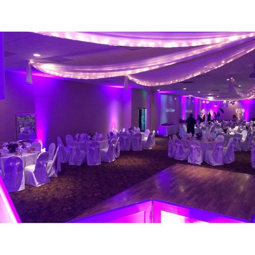 Eliminator Lighting Indy Hex Par Wash Fixture