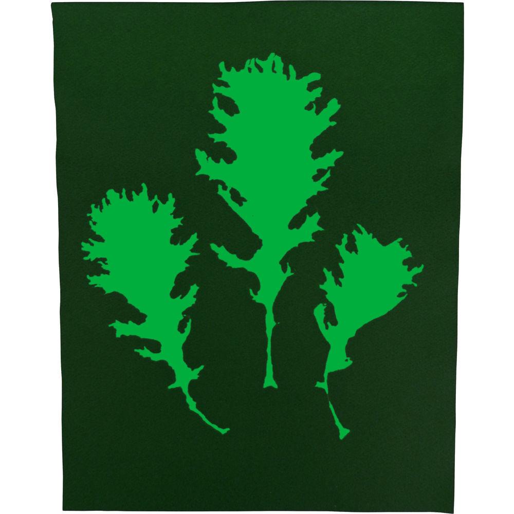 Cyanotype Store Cyanotype Paper