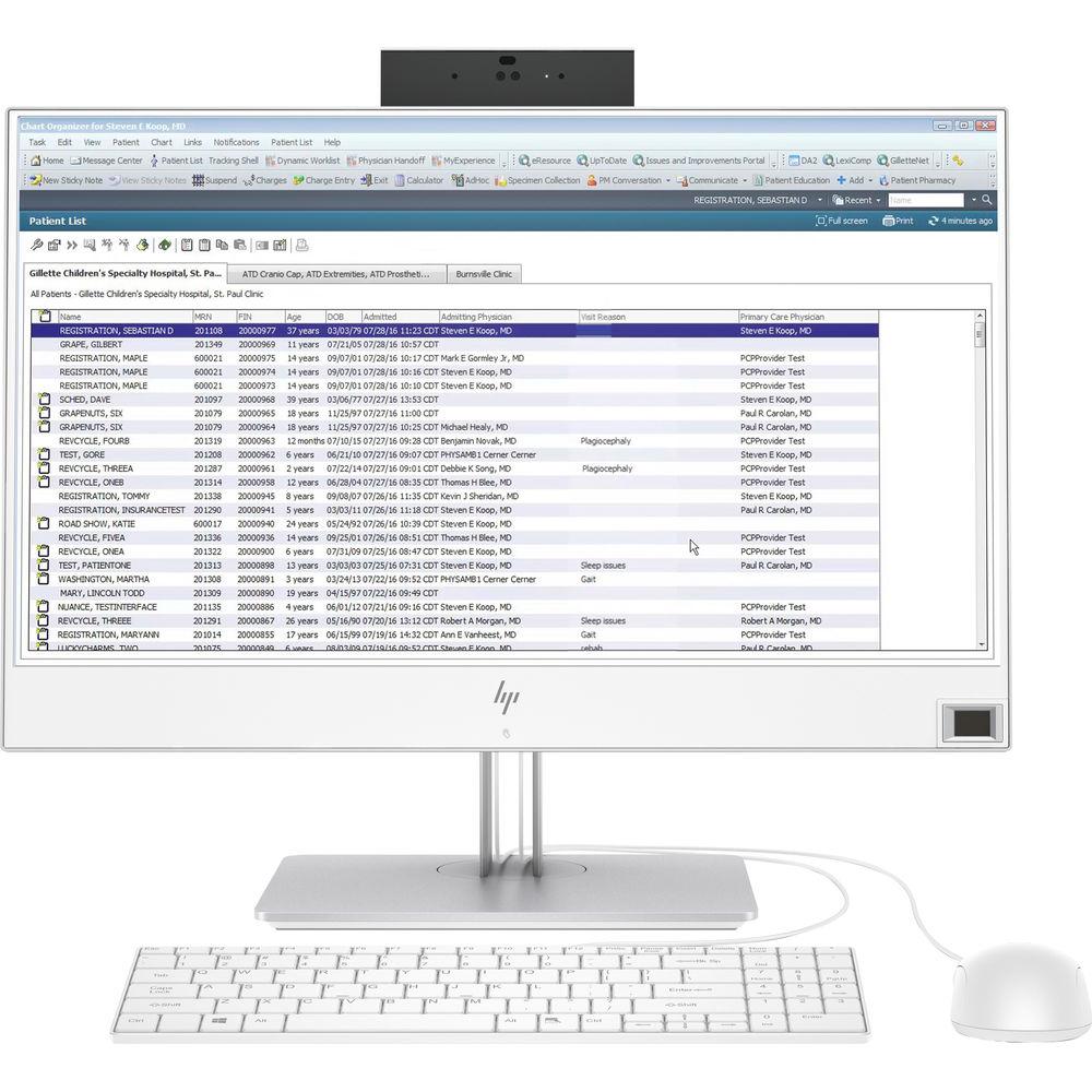 HP 23.8" EliteOne 800 G4 All-in-One Desktop Computer