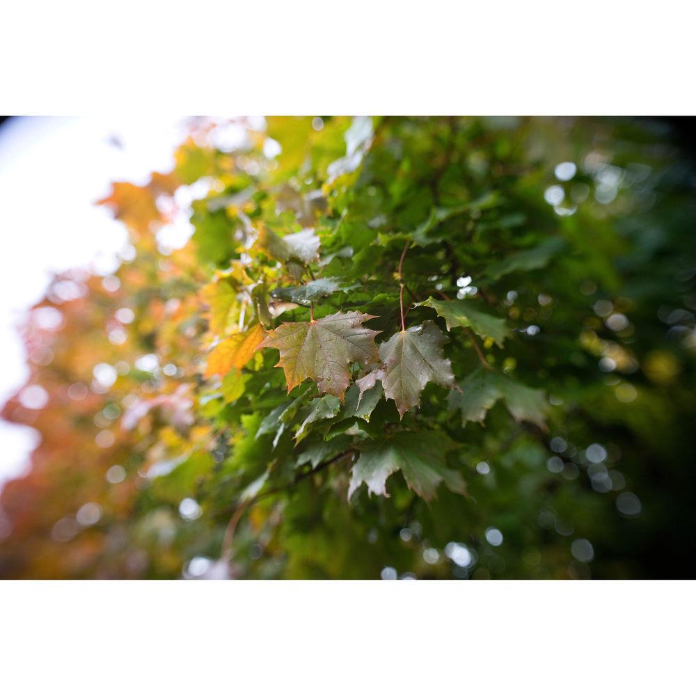 Lensbaby 46mm Neutral Density, Circular Polarizer, and Star Filter Kit