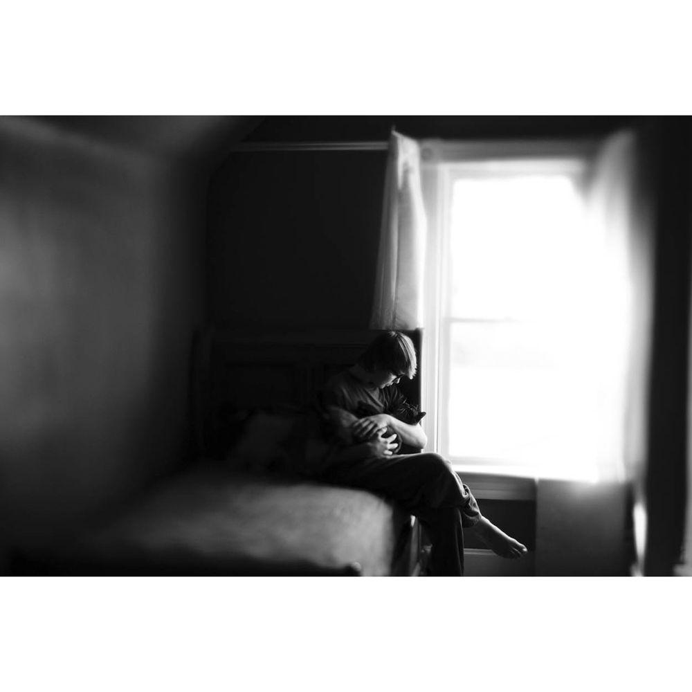 Lensbaby Movie Maker