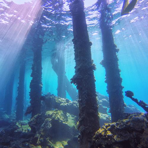 PolarPro Snorkel Filter for GoPro HERO6 & HERO5 Black