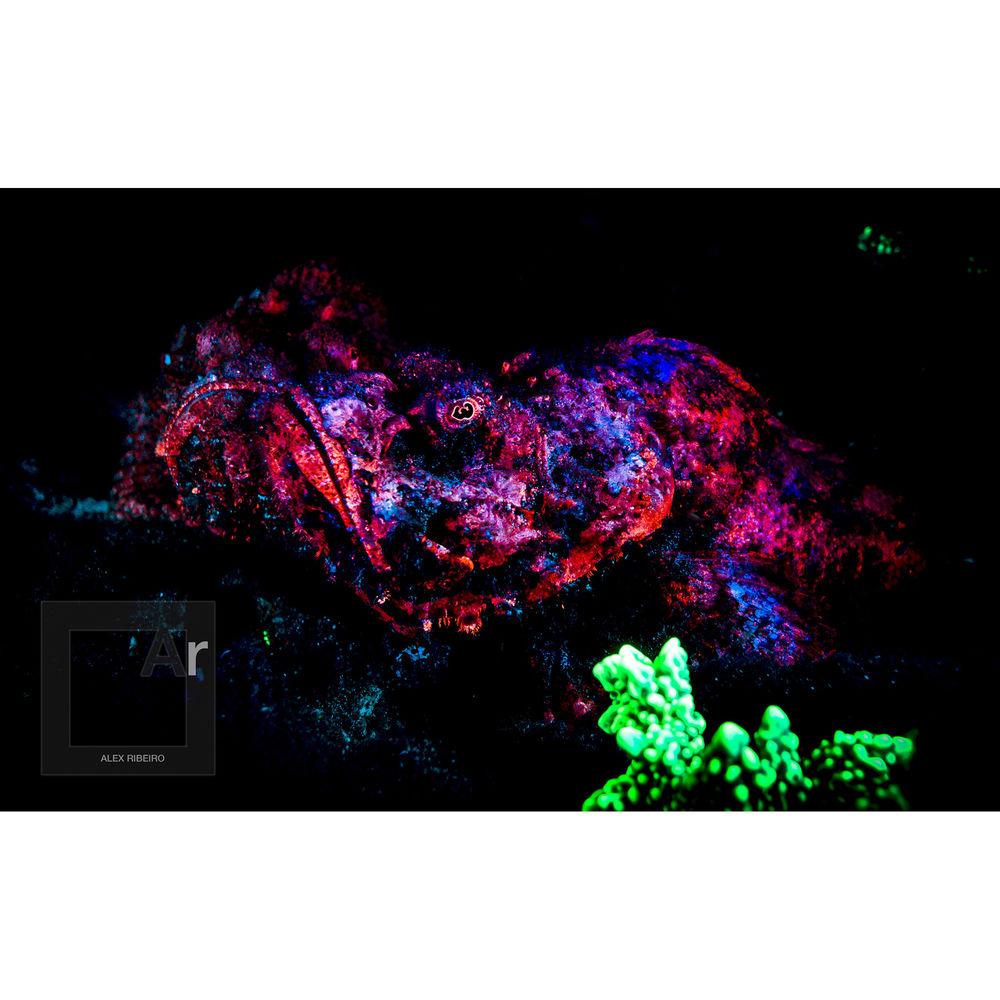 SeaLife Sea Dragon Mini Fluoro LED Dive Light with Mask Filter