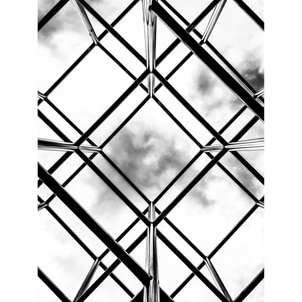 bitplay 0.31x Fisheye 5x Macro Lens