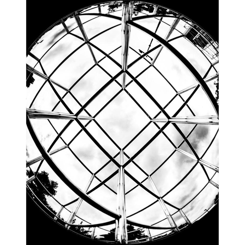 bitplay 0.31x Fisheye 5x Macro Lens