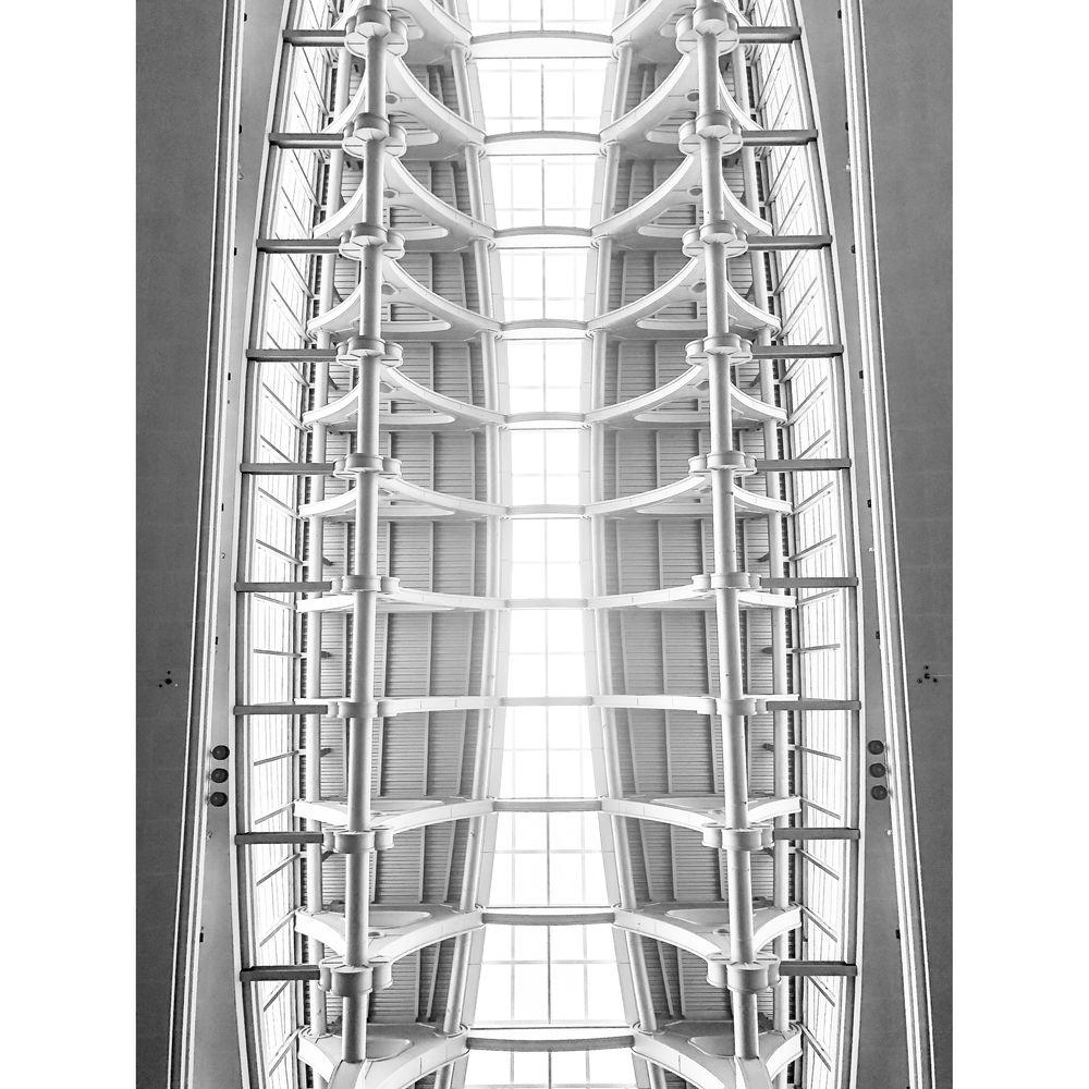 bitplay 0.31x Fisheye 5x Macro Lens