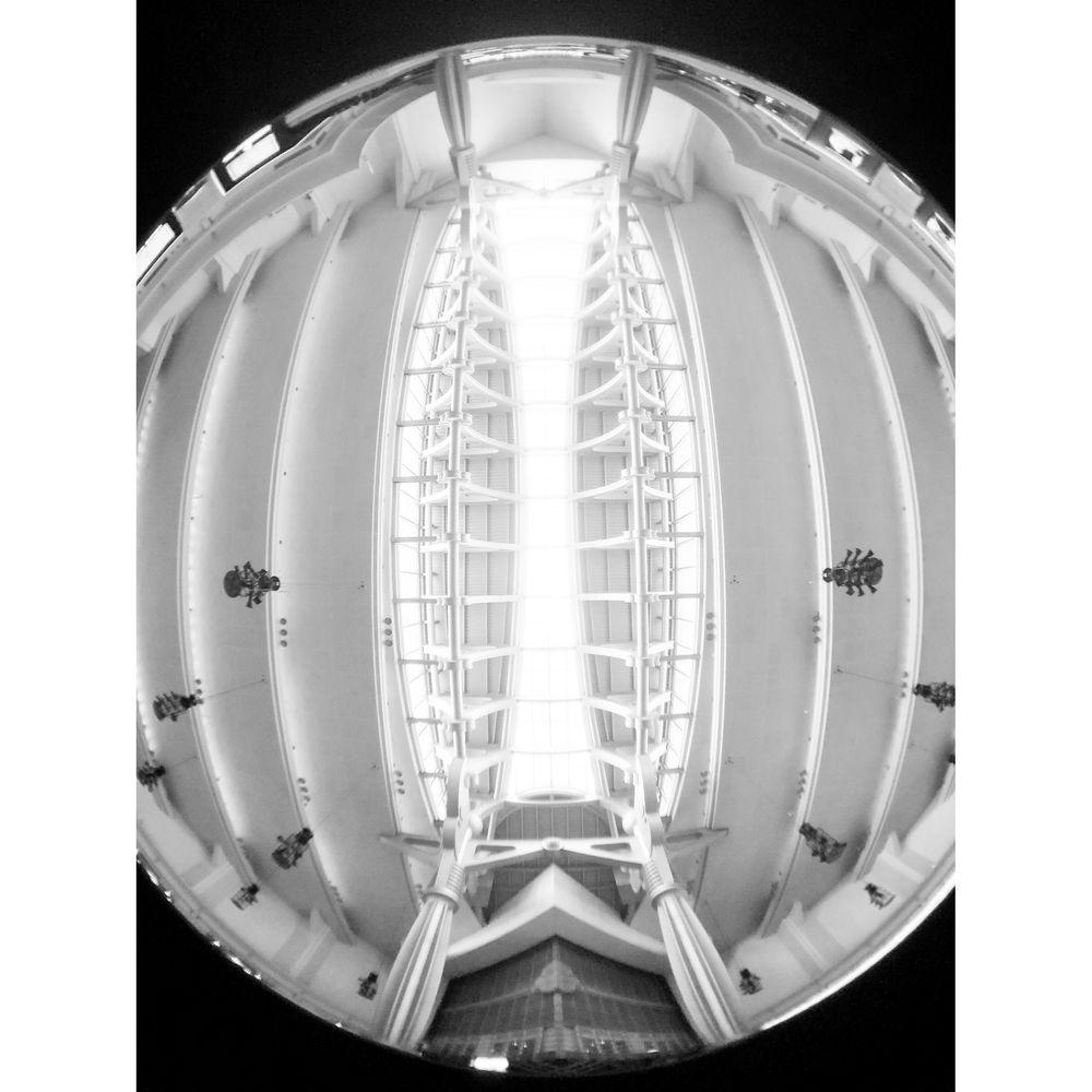 bitplay 0.31x Fisheye 5x Macro Lens