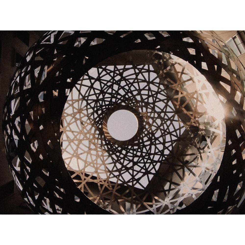 bitplay 0.31x Fisheye 5x Macro Lens