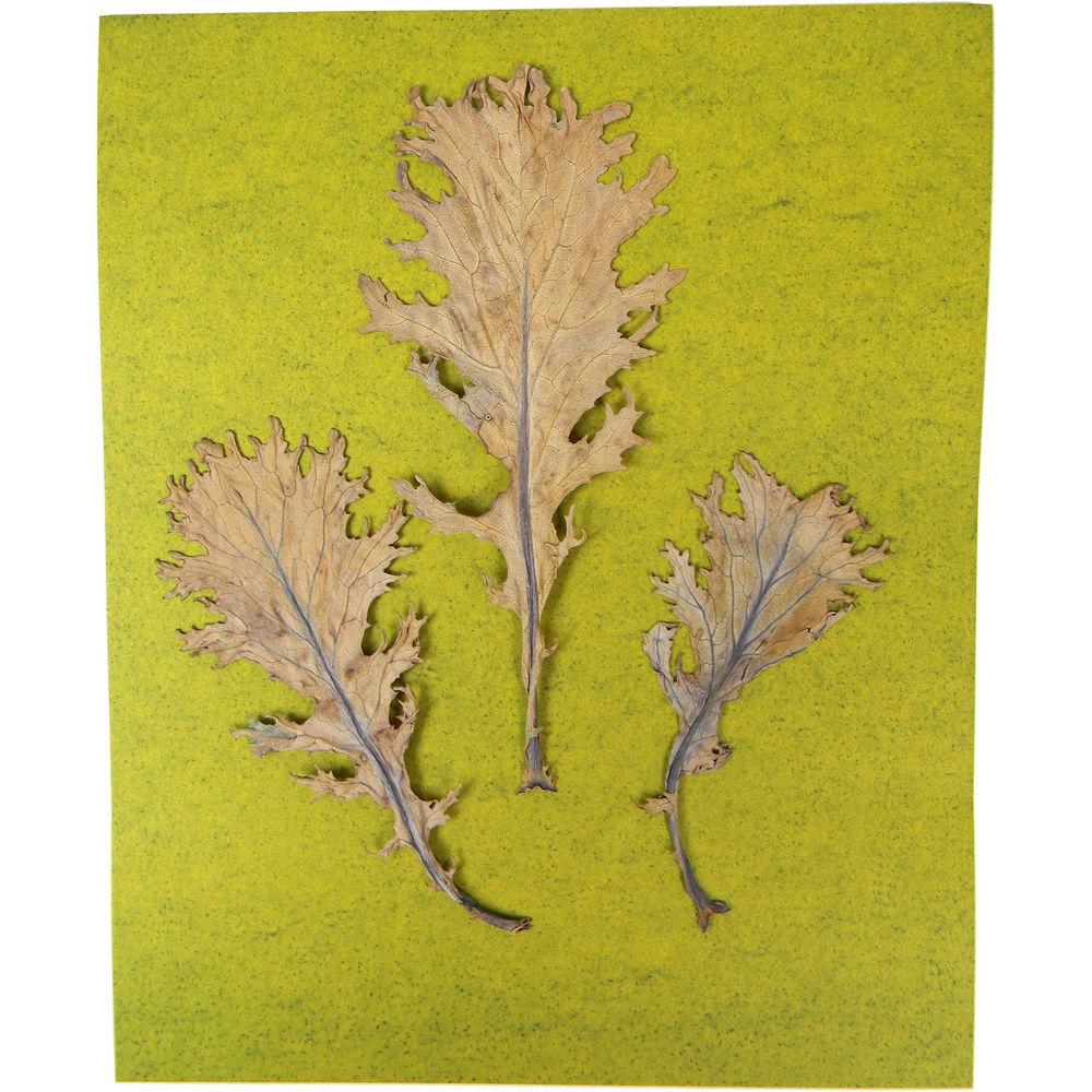 Cyanotype Store Cyanotype Paper