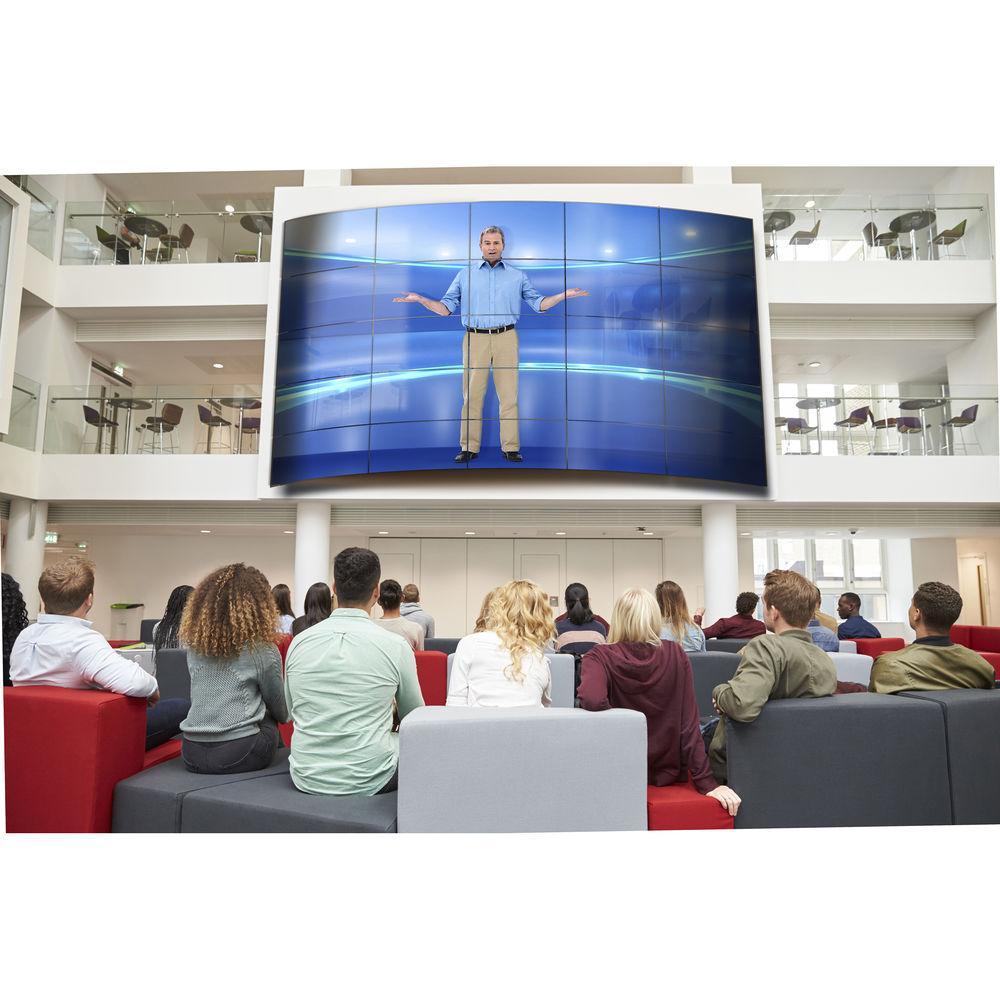 LG 55EF5C 55" Open-Frame Full HD OLED Signage Display