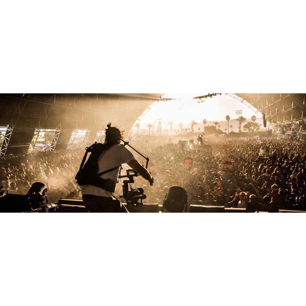 Ready Rig GS Stabilizer Kit with Case