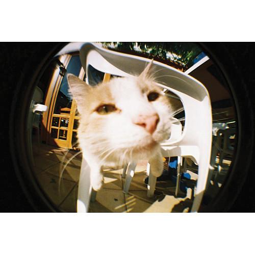 Lomography Fisheye No.2 35mm Camera