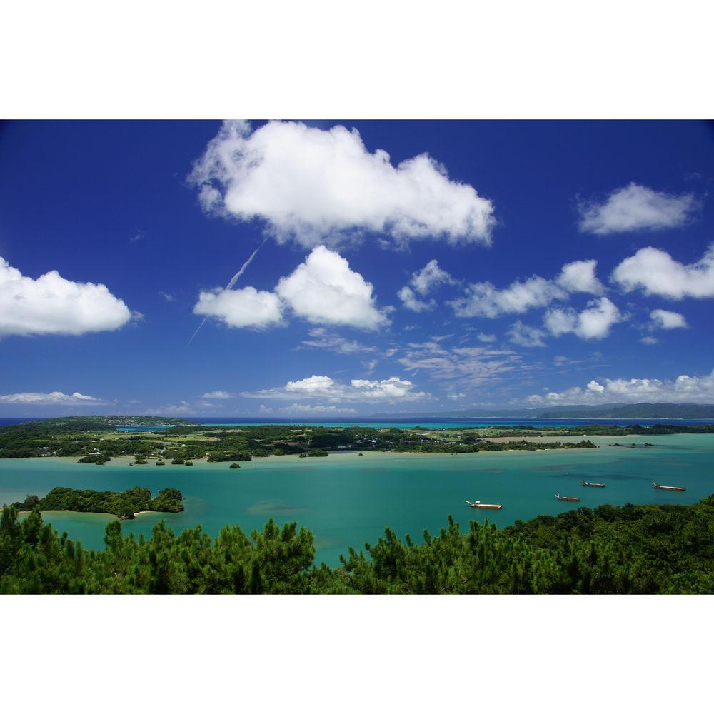 Sony Vario-Sonnar T* DT 16-80mm f 3.5-4.5 ZA Lens