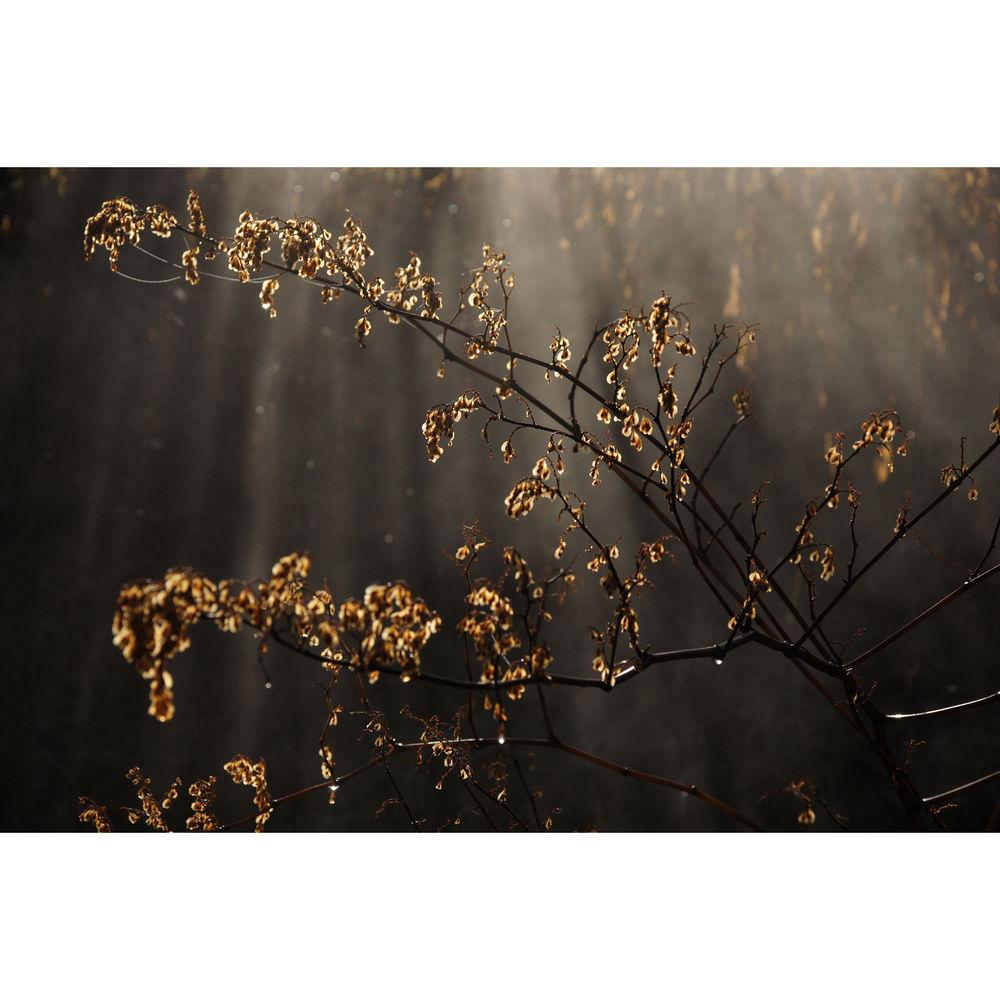 Sony Vario-Sonnar T* DT 16-80mm f 3.5-4.5 ZA Lens