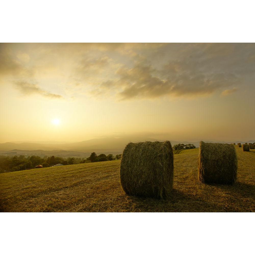 Sony Vario-Sonnar T* DT 16-80mm f 3.5-4.5 ZA Lens