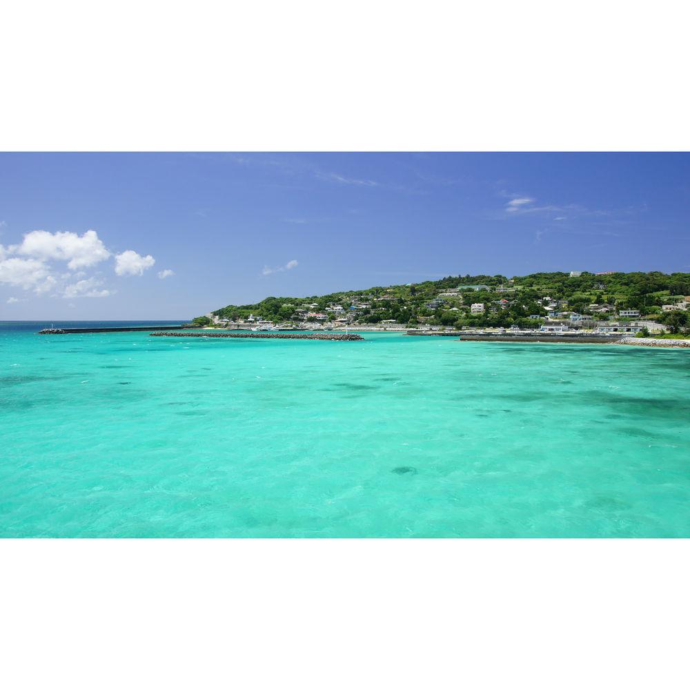 Sony Vario-Sonnar T* DT 16-80mm f 3.5-4.5 ZA Lens