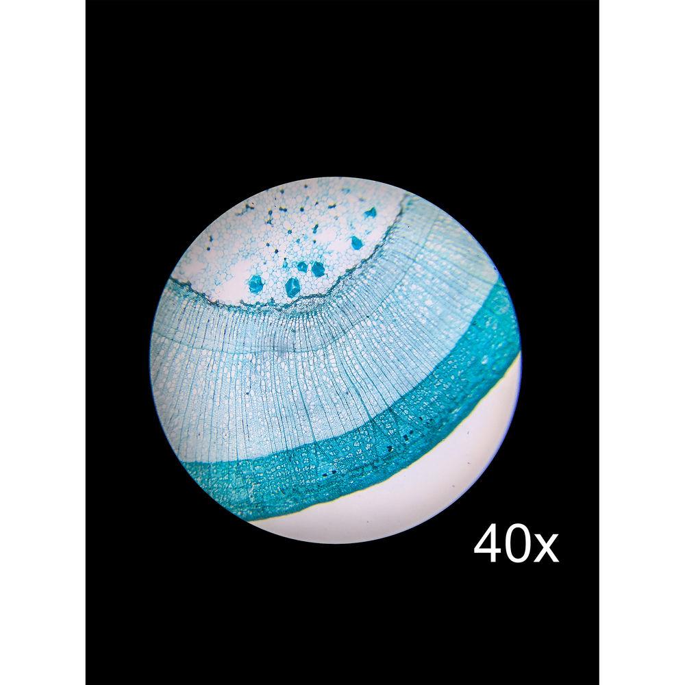 Barska AY13072 Monocular Compound Microscope