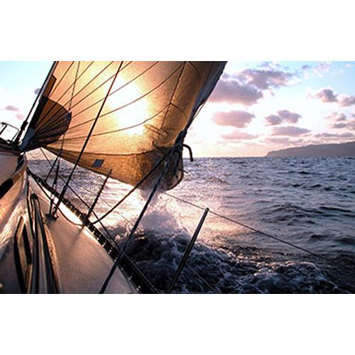 MAGIX Entertainment Video Sound Cleaning Lab - ESD Volume 5-99