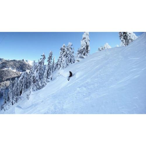 Moment Superfish Lens