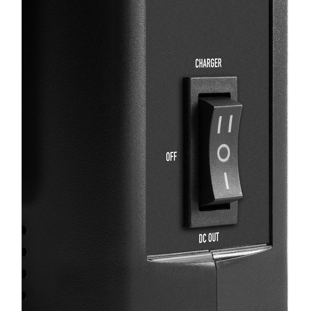 SHAPE FULL PLAY Intelligent 2-Bay Vertical Gold Mount Battery Charger