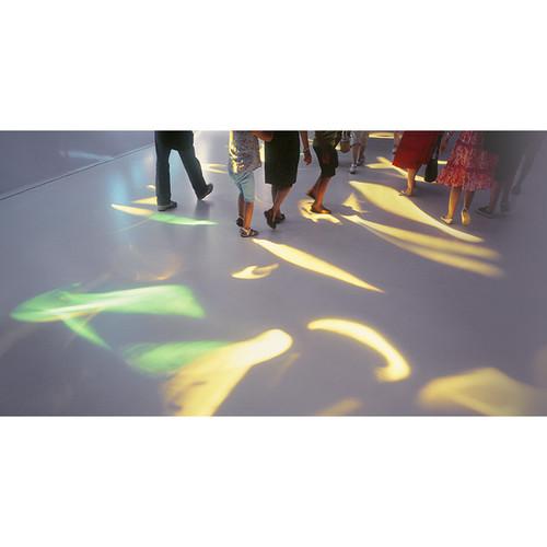 Ricoh PJ X3351N 3500-Lumen XGA Portable DLP Projector