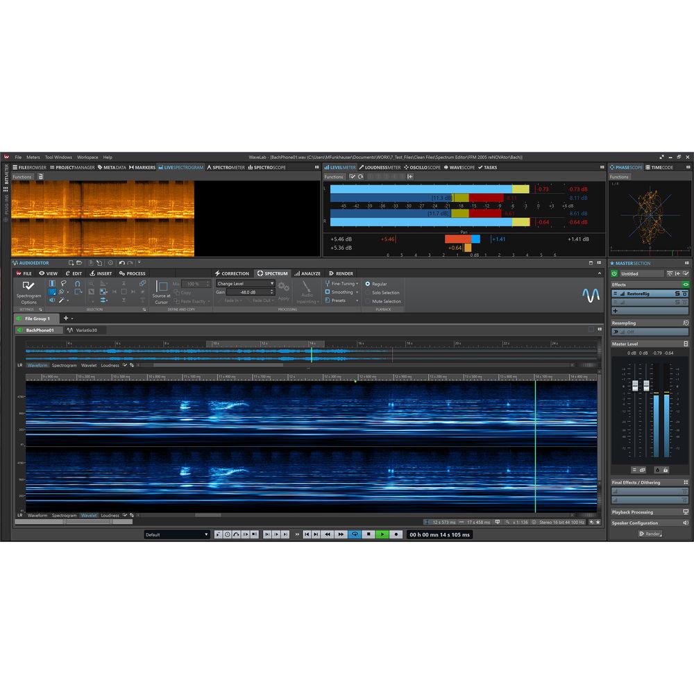 Steinberg WaveLab Pro 9.5 - Audio Editing and Processing Software