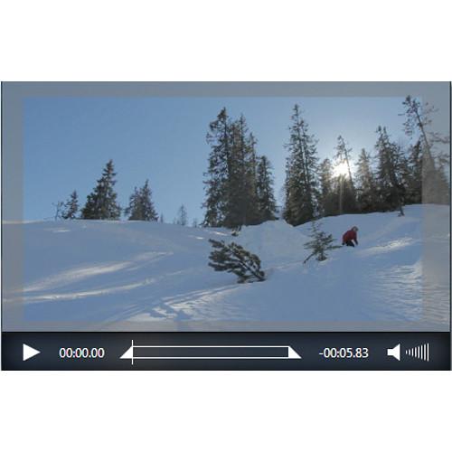 Telestream Switch 4 Player for Windows