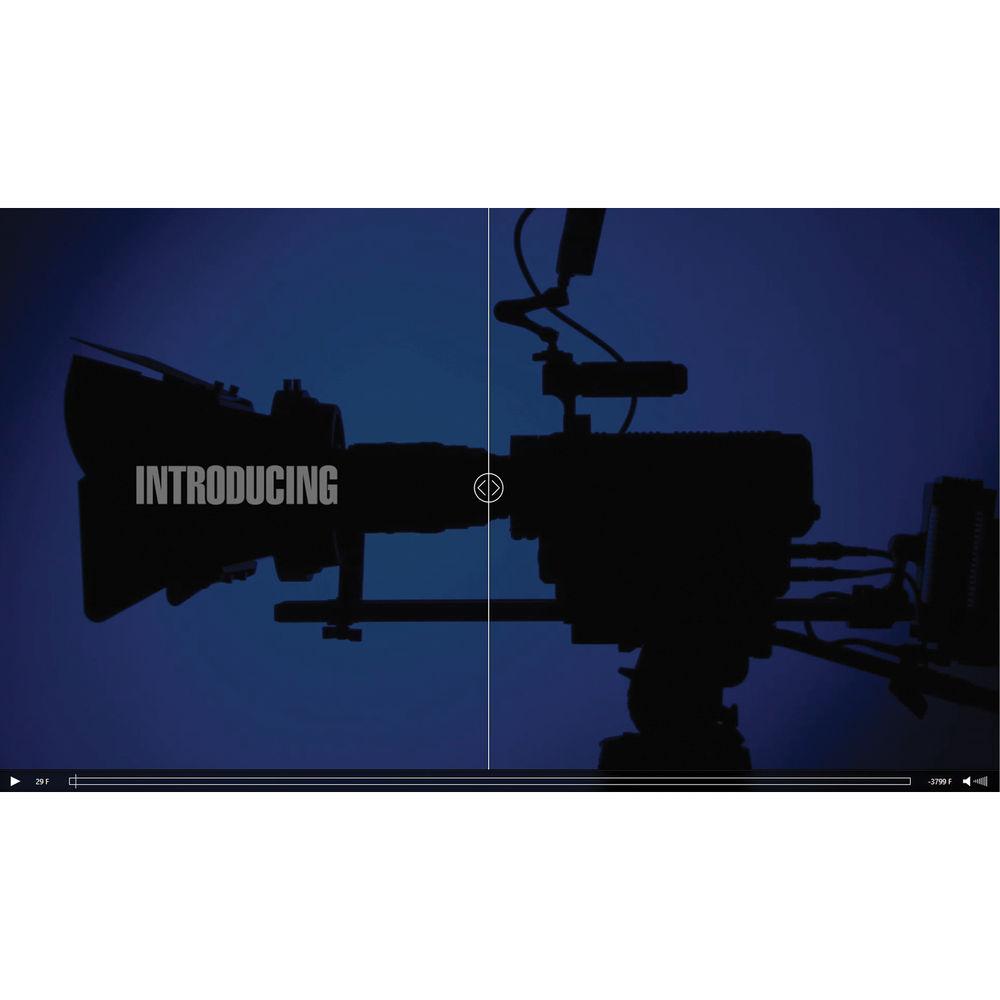 Telestream Switch 4 Player for Windows