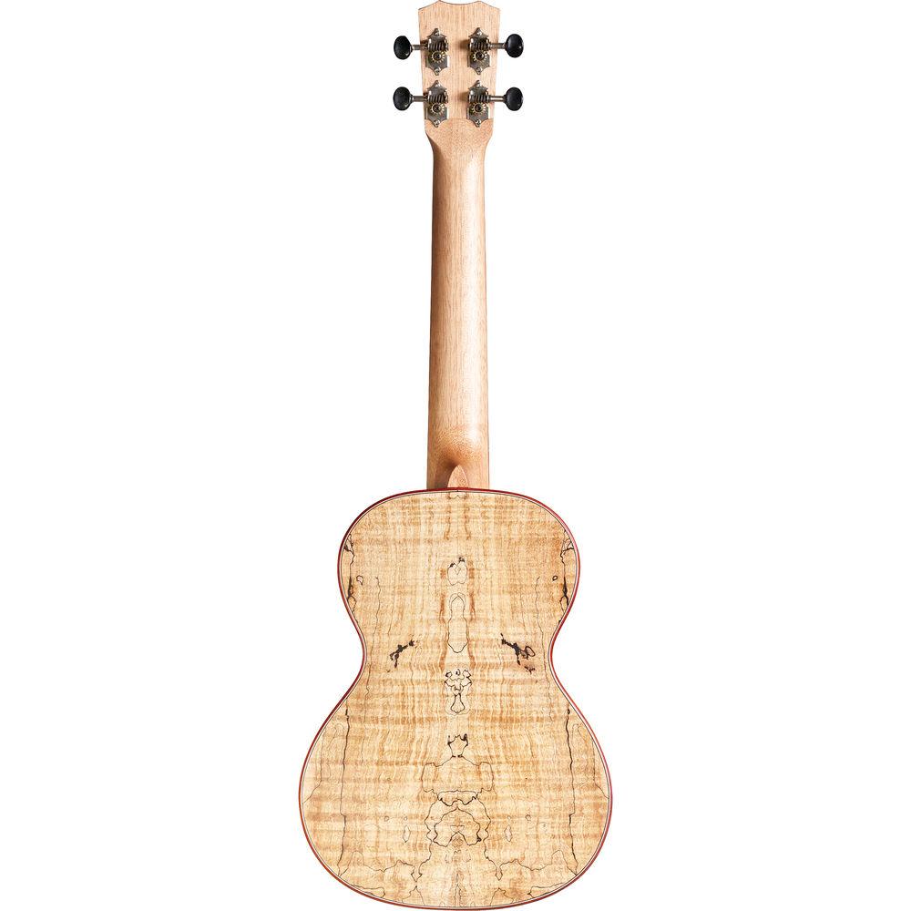Cordoba 24T 24 Series Tenor Ukulele