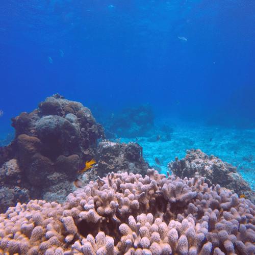 PolarPro Red Aqua Filter for GoPro HERO7 6 5 Black & HERO 2018 Super Suit Housing