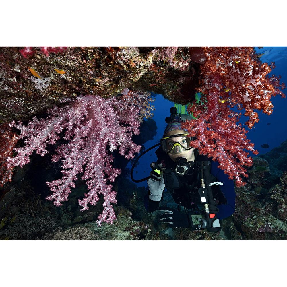 Princeton Tec Amp 1L Mini Flashlight