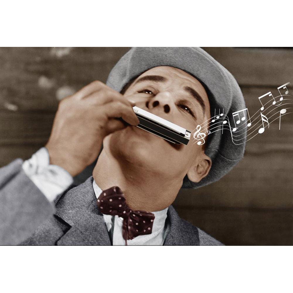 Pyle Pro Classic-Style Chromatic Harmonica with Stainless Steel Cover Plate