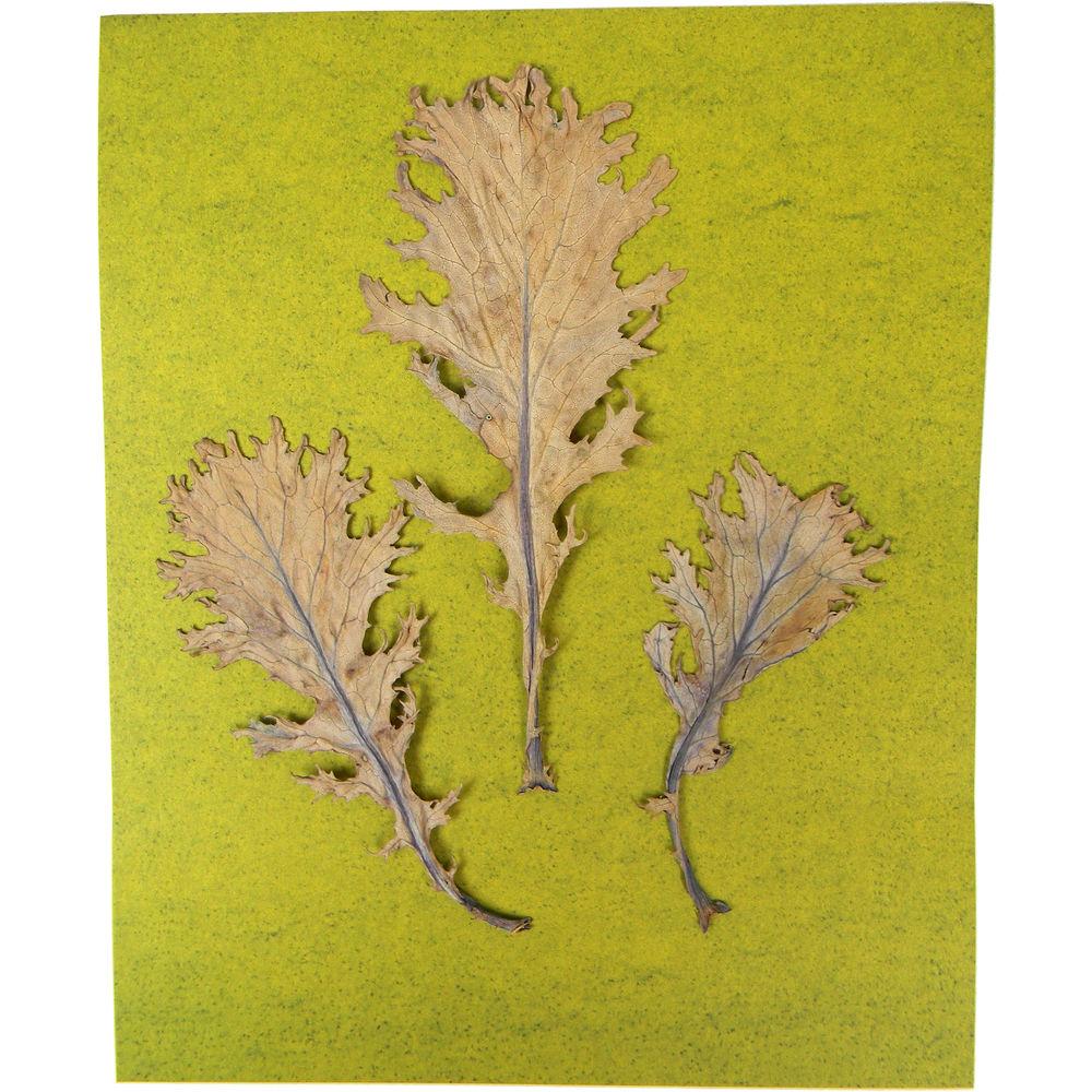 Cyanotype Store Cyanotype Paper