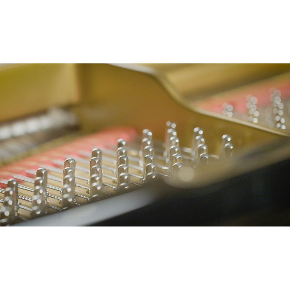 Vienna Symphonic Library Synchron Concert D-274 - Virtual Instrument for Composition & Sound Design