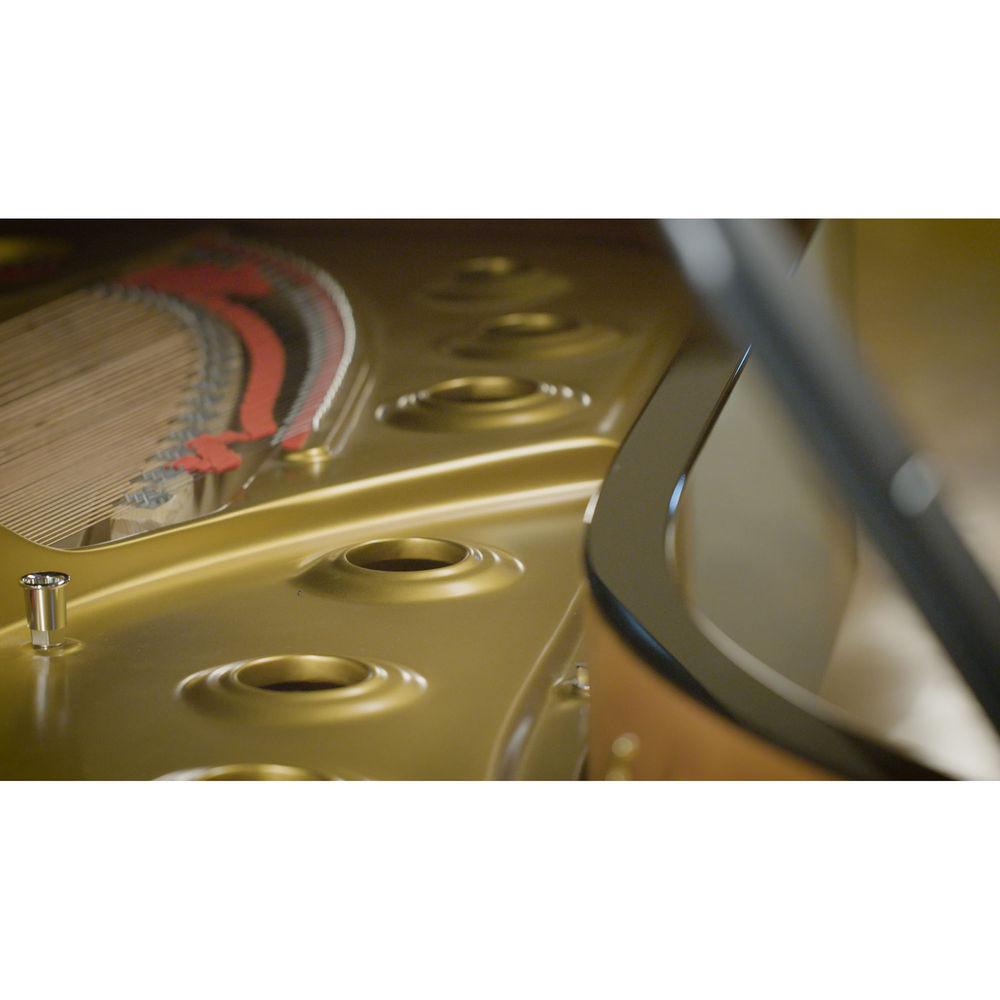 Vienna Symphonic Library Synchron Concert D-274 - Virtual Instrument for Composition & Sound Design