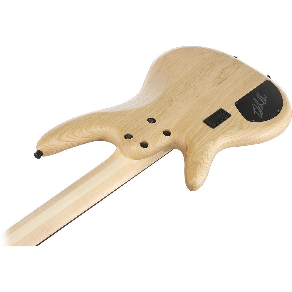 Ibanez GWB1005 Gary Willis Signature Series Fretless 5-String Electric Bass