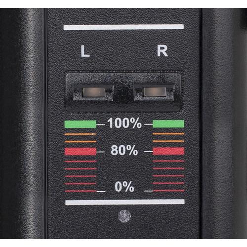 SWIT Dual-Channel Gold Mount Charger