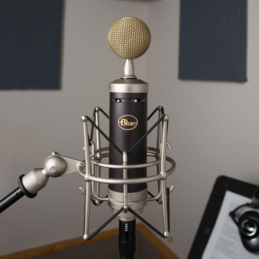 Blue Baby Bottle SL Studio Condenser Microphone