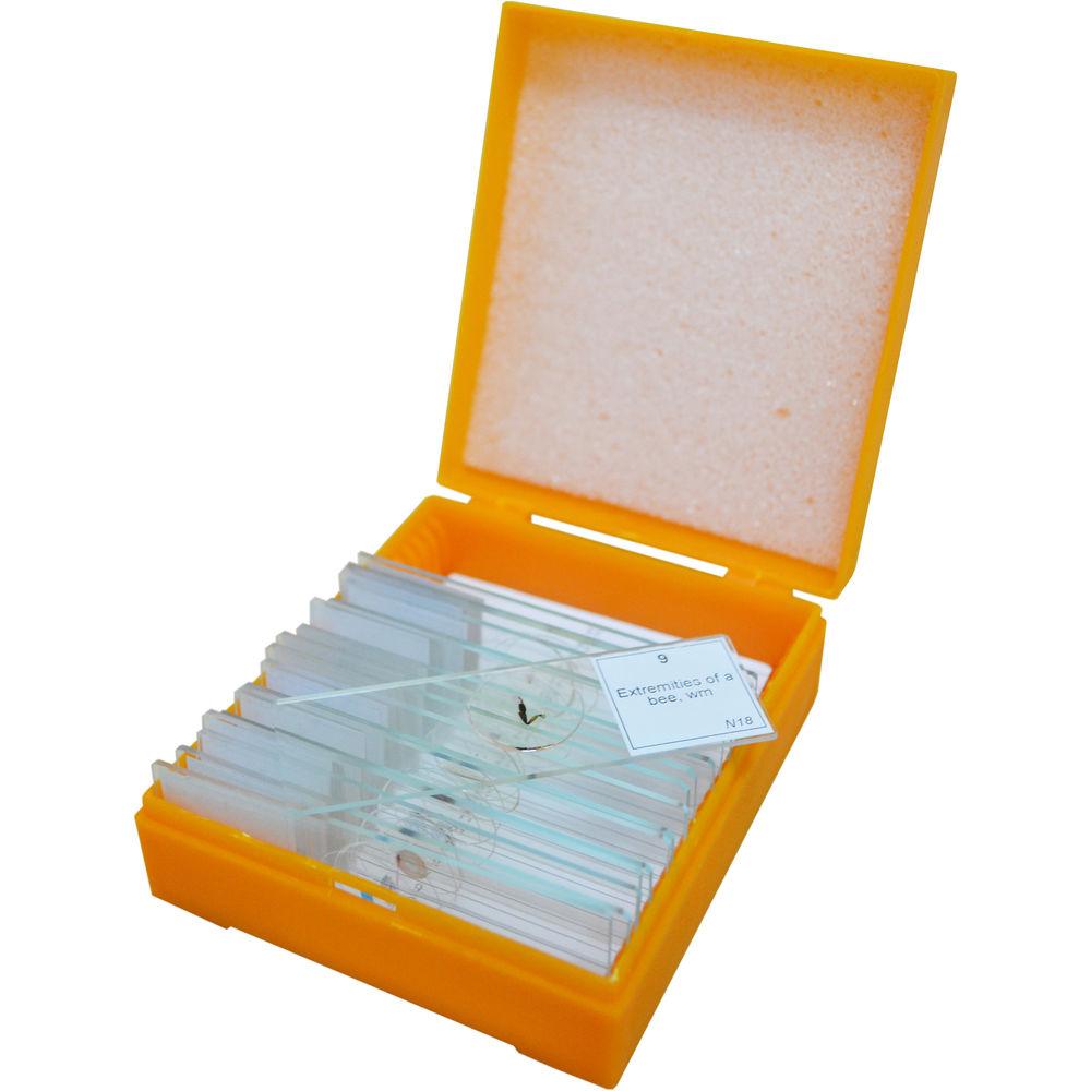 Levenhuk N18 NG Prepared Slides Set