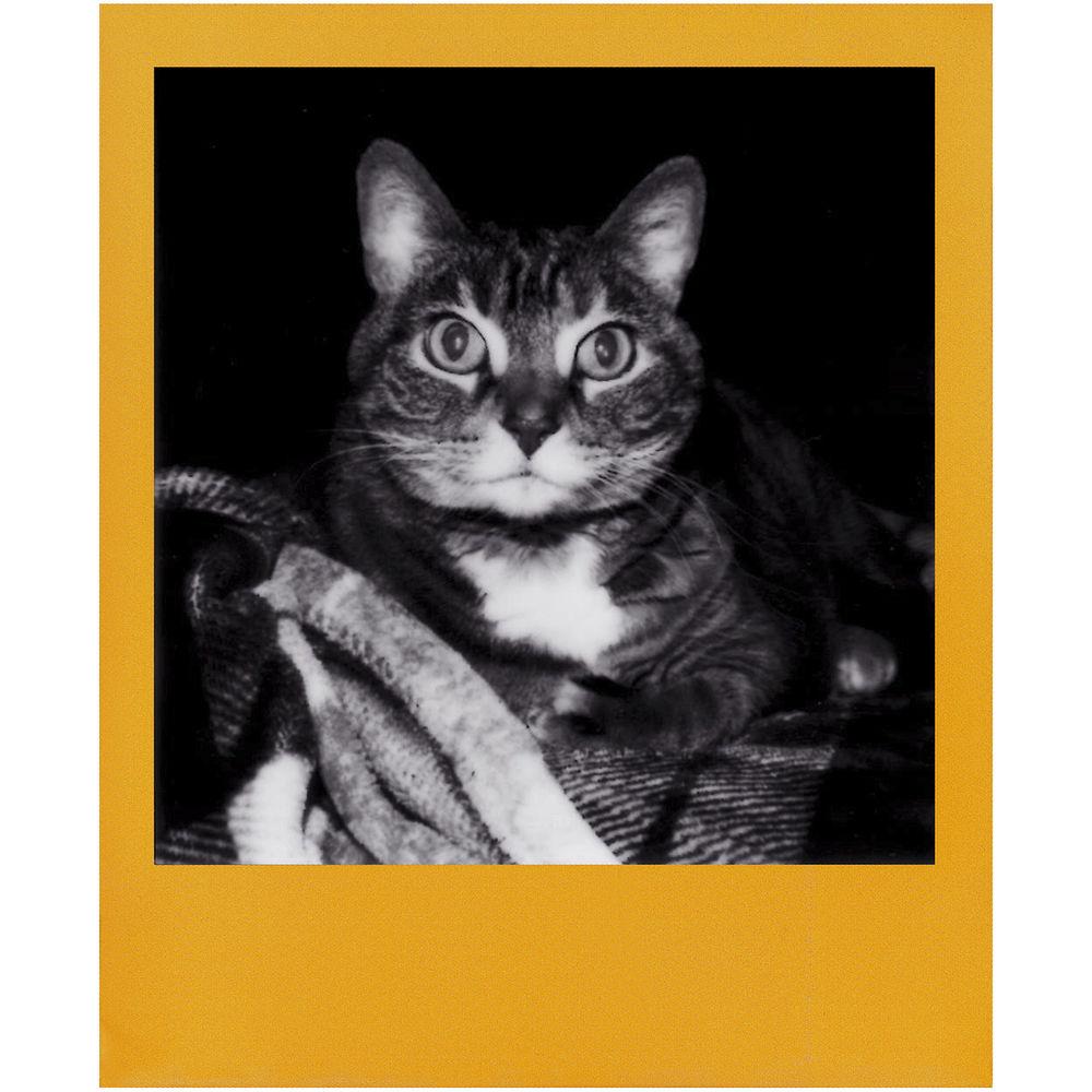 Polaroid Originals Black & White 600 Instant Film