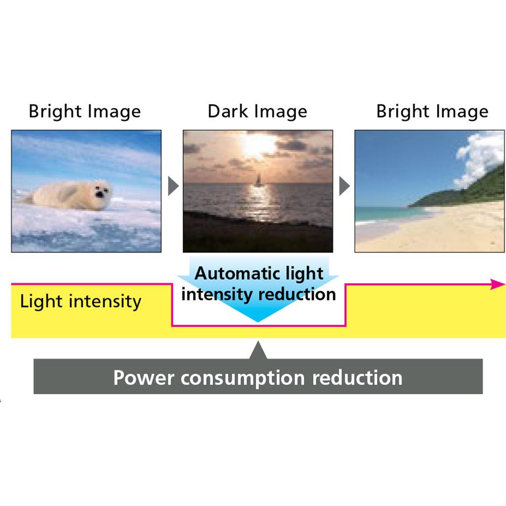 Ricoh 5500-Lumen DLP WUXGA Standard Projector