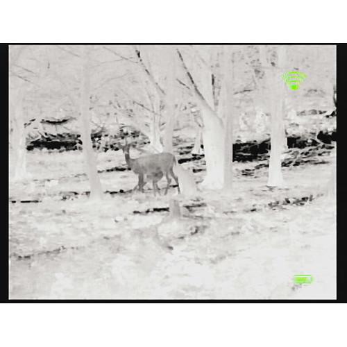 Bering Optics 348 x 288 Prodigy-X Thermal Monocular