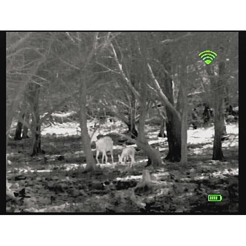 Bering Optics 348 x 288 Prodigy-X Thermal Monocular