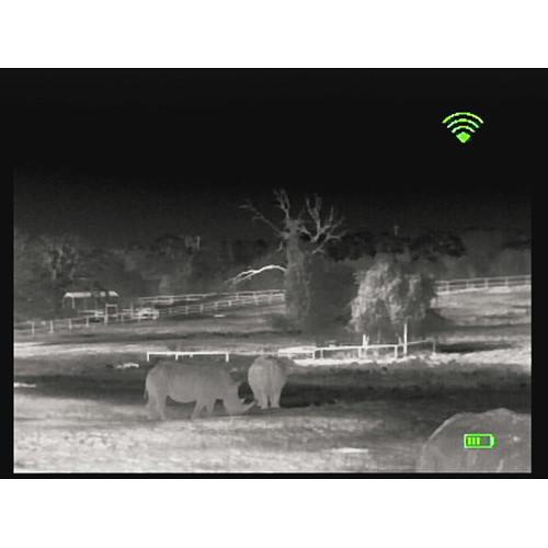 Bering Optics 348 x 288 Prodigy-X Thermal Monocular