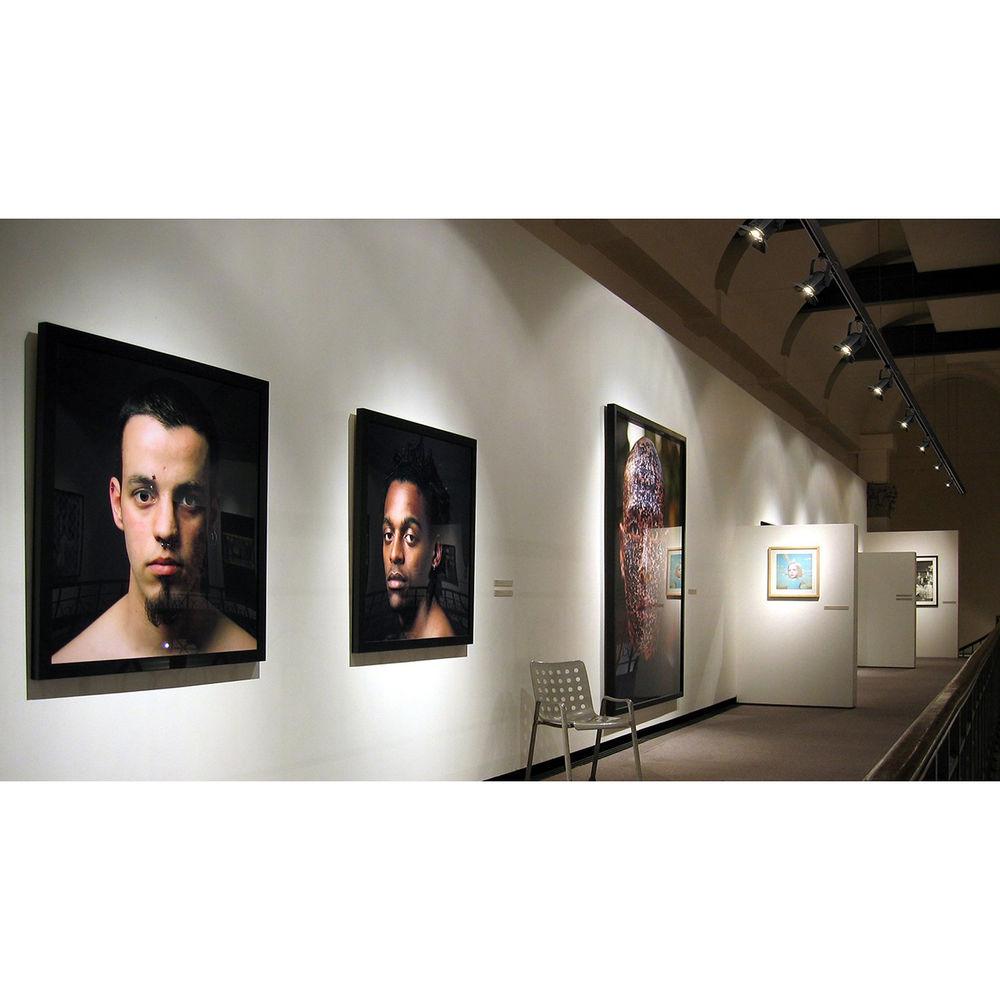 CHAUVET DJ EVE TF-20 Compact LED Accent Luminaire